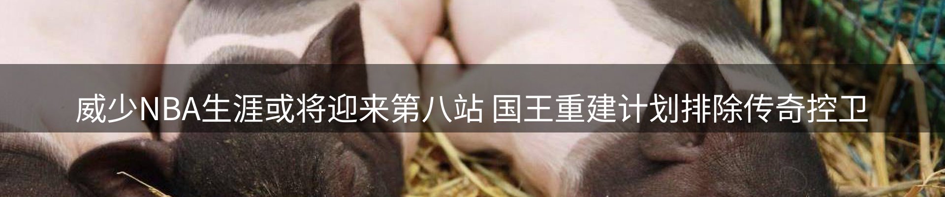 综合资讯
