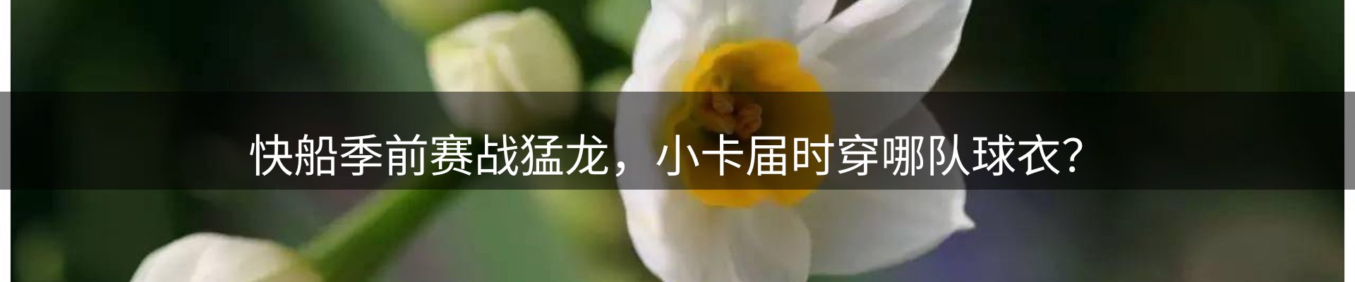 平台播报