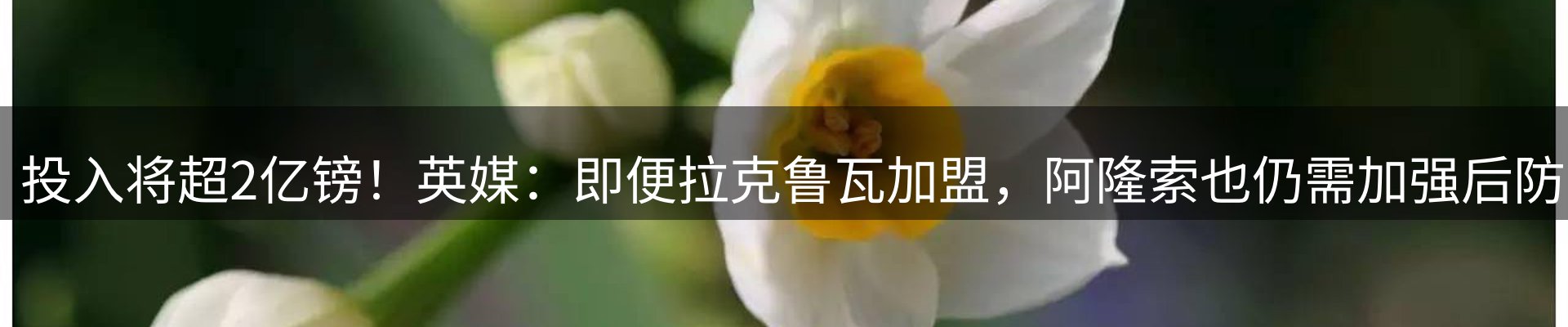 综合资讯