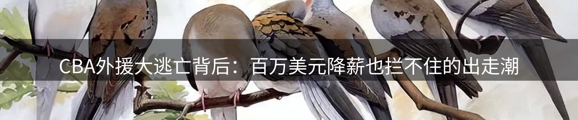 综合资讯