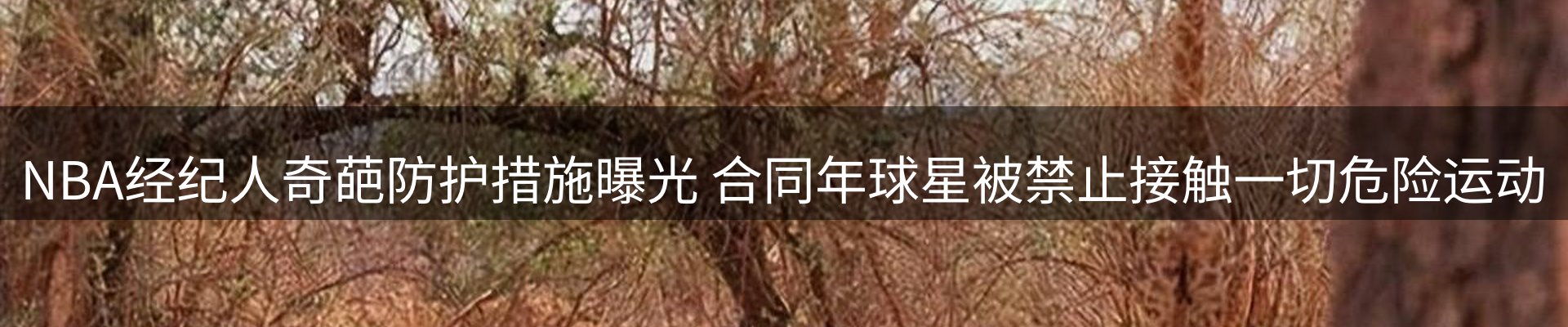 综合资讯